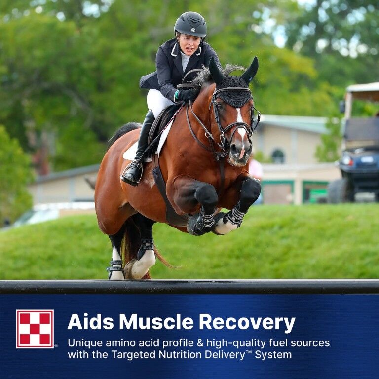 Purina Ultium Competition Horse Formula, 50-Lb