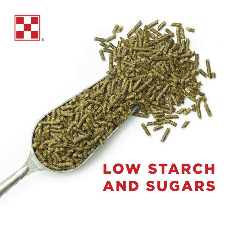 Purina Wellsolve L/S Horse Feed, 50-Lb