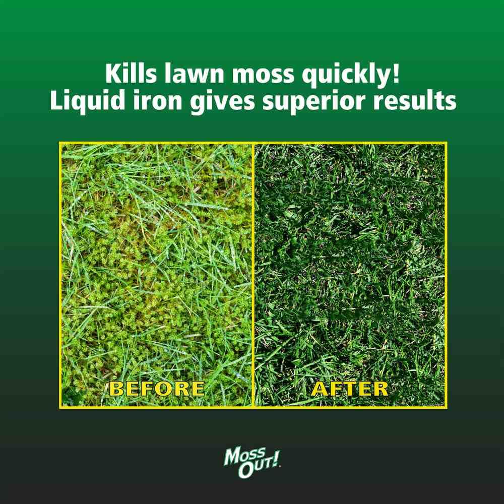 Moss Out! For Lawns Liquid, 1-Gal