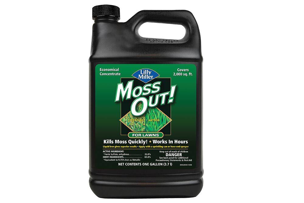 Moss Out! For Lawns Liquid, 1-Gal
