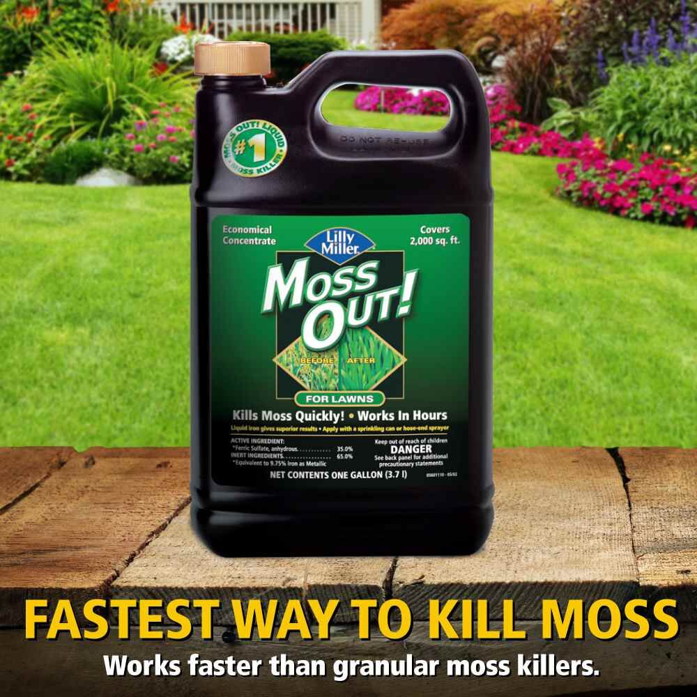 Moss Out! For Lawns Liquid, 1-Gal