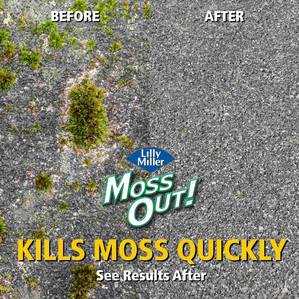 Moss Out! for Roofs & Walks RTS, 27-Oz