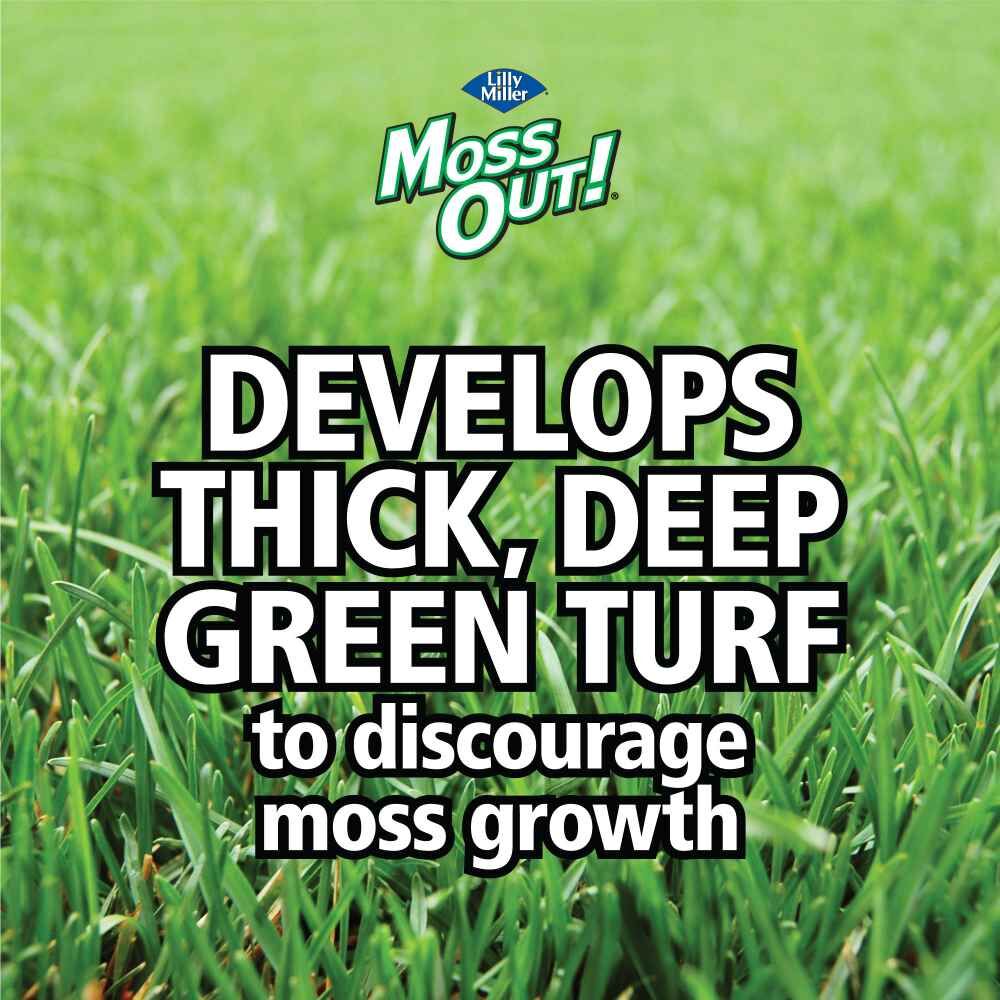 Moss Out! Plus Fertilizer For Lawns 20-0-05, 20-Lb
