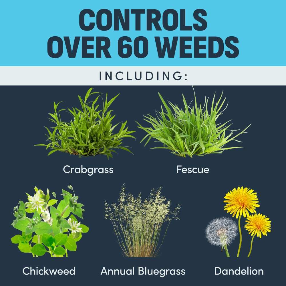 Image Herbicides Casoron Weed + Grass Preventer Granules, 8-Lb