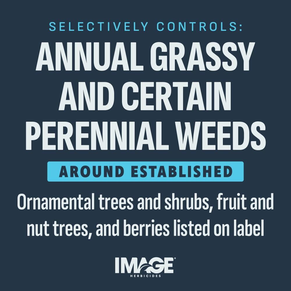 Image Herbicides Casoron Weed + Grass Preventer Granules, 8-Lb