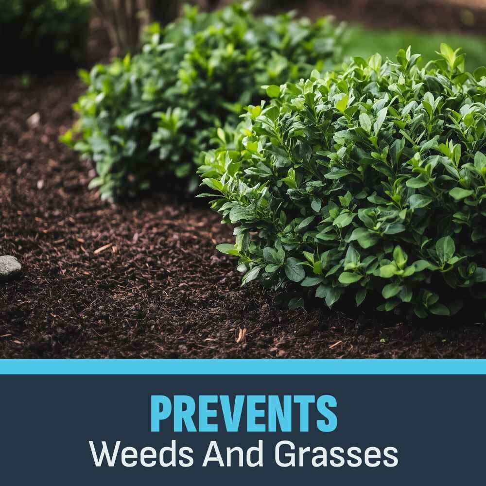 Image Herbicides Casoron Weed + Grass Preventer Granules, 8-Lb