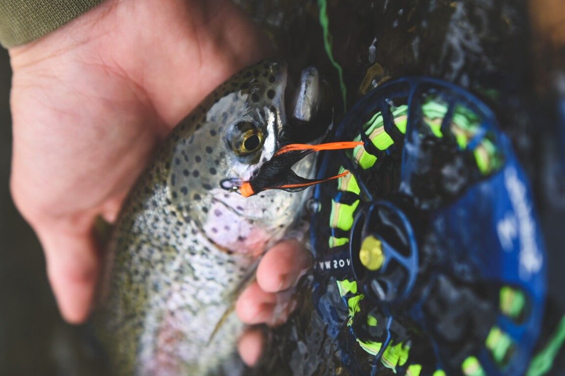 Maxima Ultragreen Leader Wheel 4-Lb Fishing Line, 27-Yd