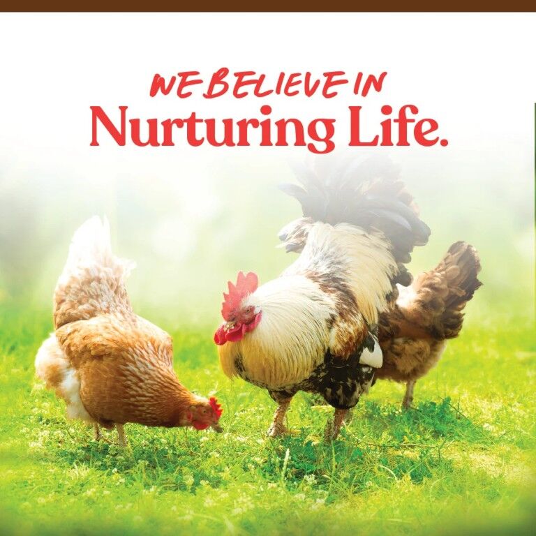 Manna Pro Harvest Delight Poultry Treat, 2.5-Oz