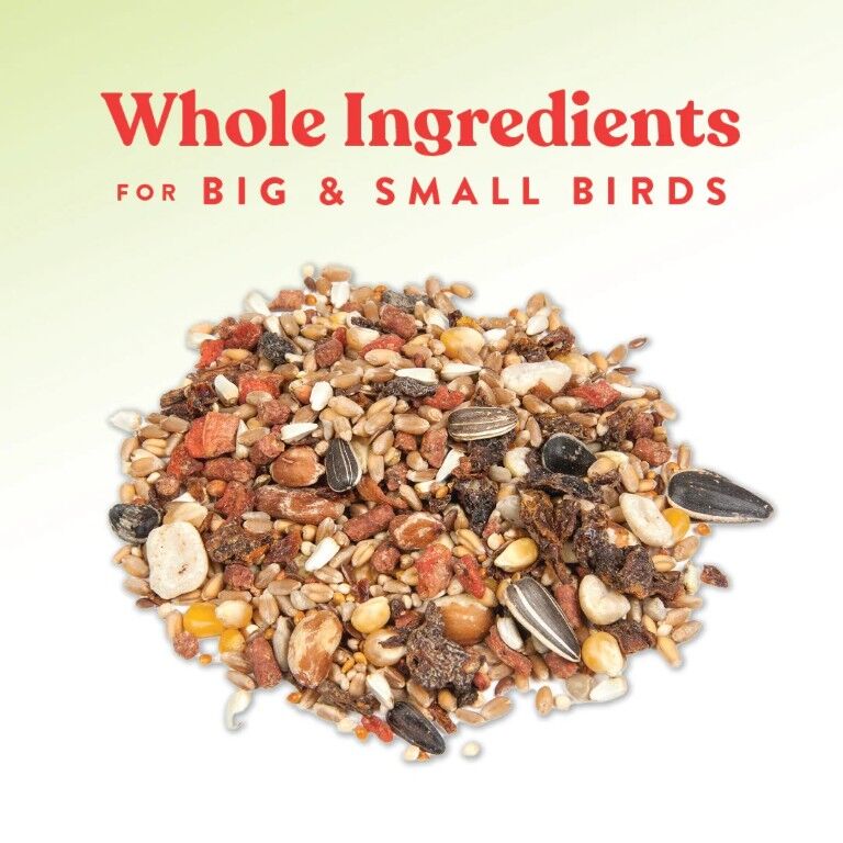 Manna Pro Harvest Delight Poultry Treat, 2.5-Oz