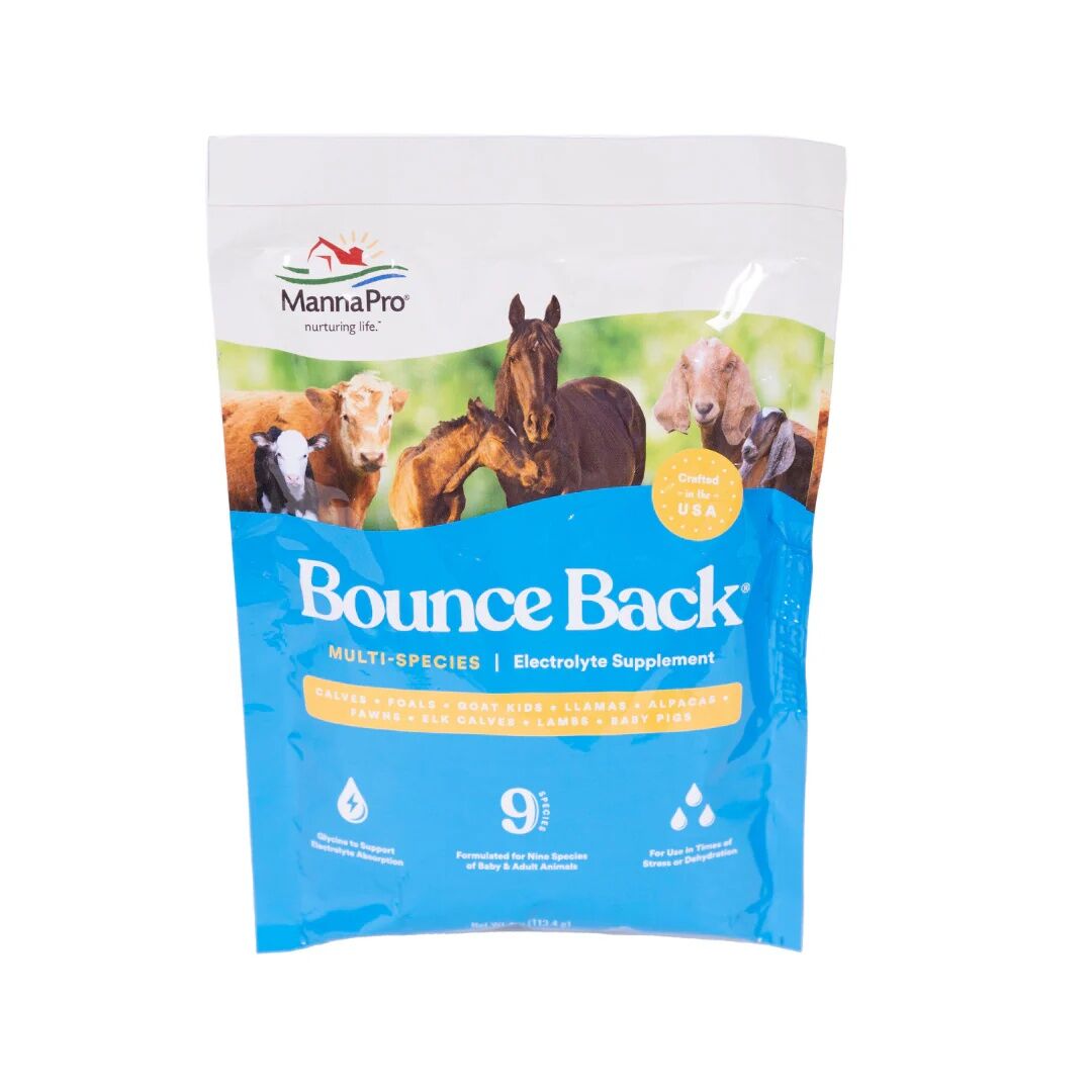 Manna Pro Bounce Back Multi-Species Electrolyte Supplement, 4-Oz