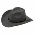 Men's Wool Felt Cowboy Hat in Gray