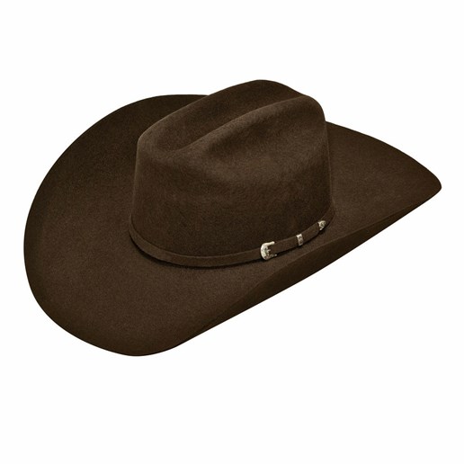 Men's Wool Felt Cowboy Hat in Brown