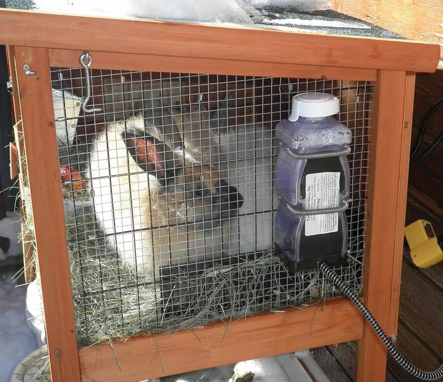 Farm Innovators Heated Water Bottle For Small Animals, 32-Oz