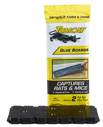 Tomcat Rat Glue Boards 2 pk Display Box