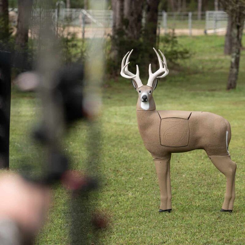 GlenDel Buck Archery Target