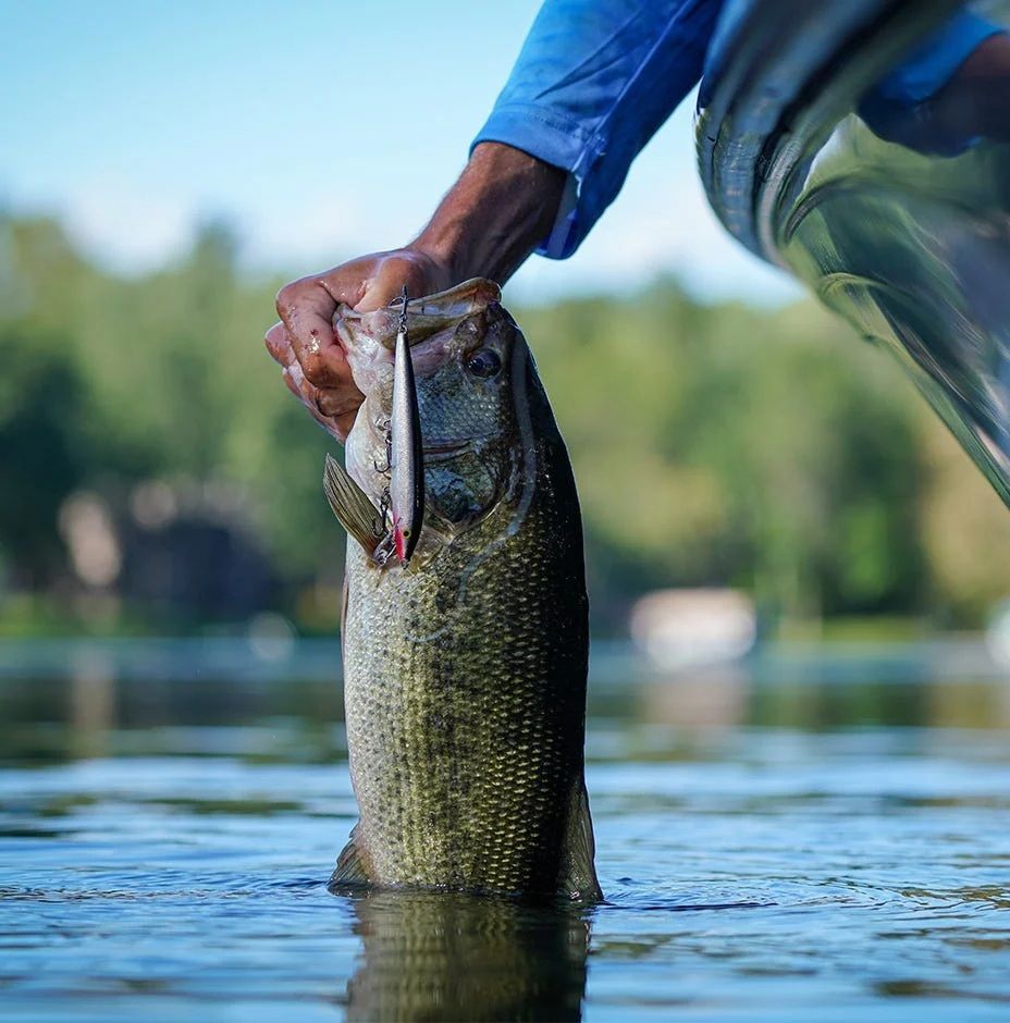 Rapala Original Floating Blue Jerkbait, 5-1/4-In