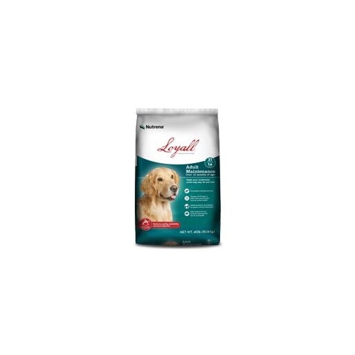 Loyall Adult Maintenance Adult Dry Dog Food, 20-Lb Bag 