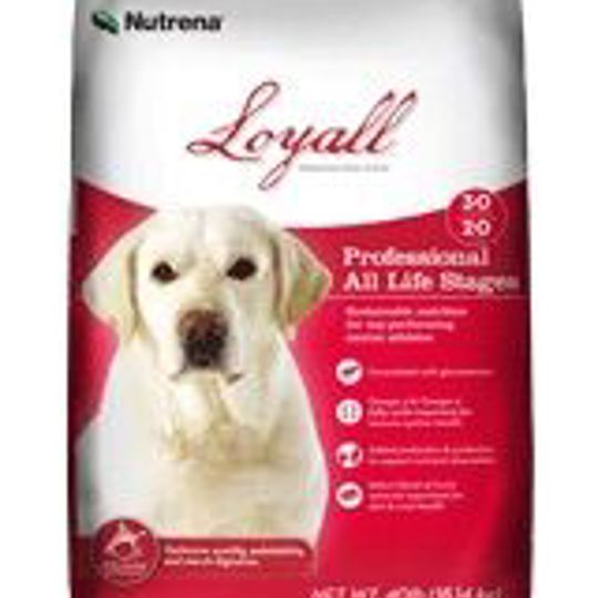Nutrena loyall best sale puppy food