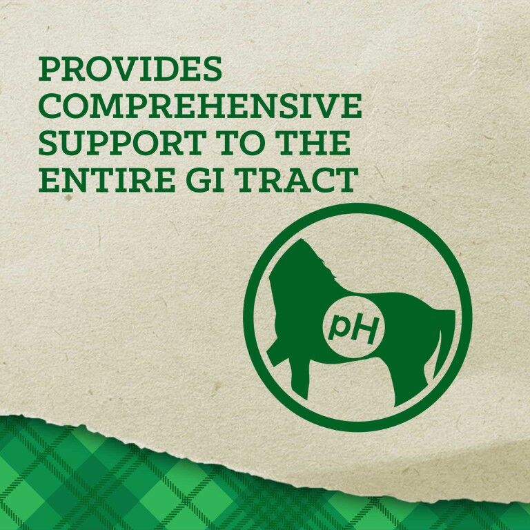 Nutrena Empower Digestive Balance, 40-Lb