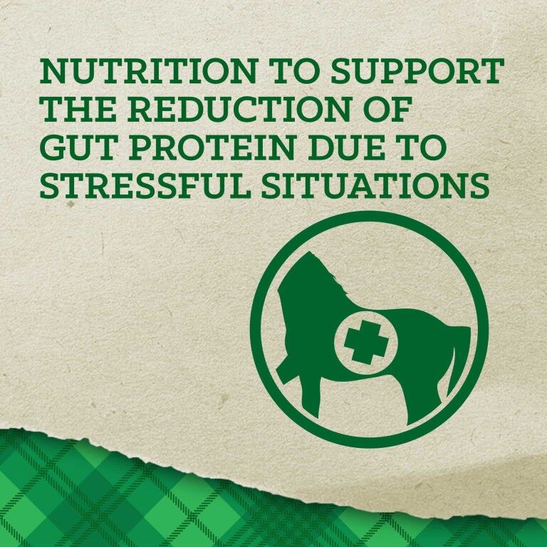 Nutrena Empower Digestive Balance, 40-Lb