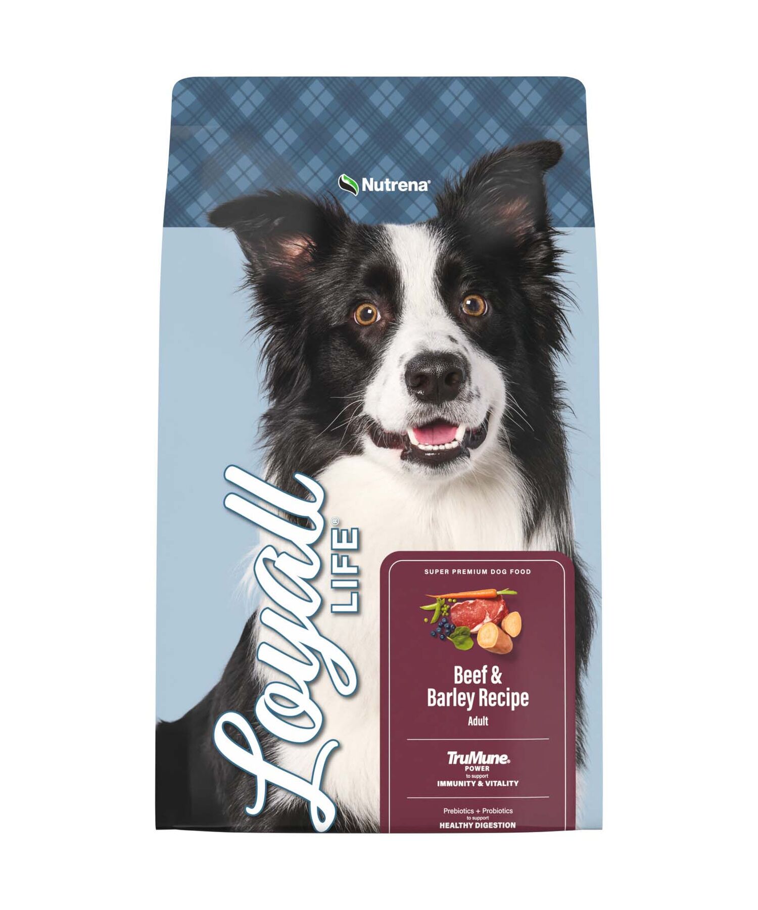 Nutrena Loyall Life Beef & Barley Recipe Dog Food, 40-Lb