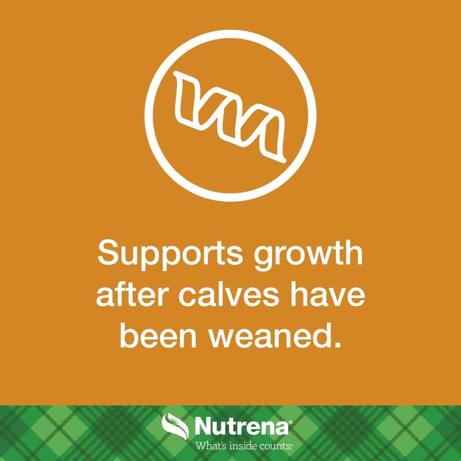 Nutrena NutreBeef Grower Finisher Feed, 50-Lb