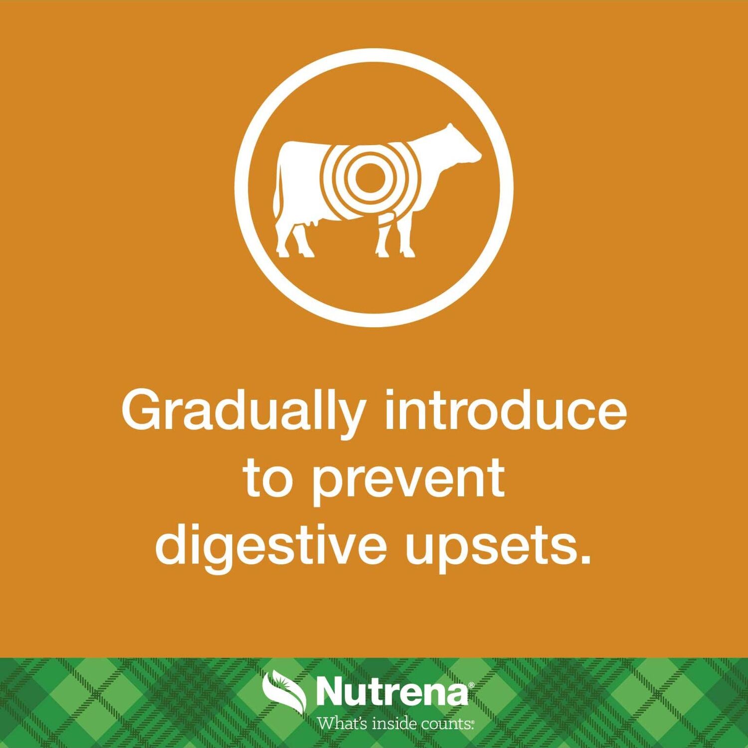 Nutrena NutreBeef Grower Finisher Feed, 50-Lb