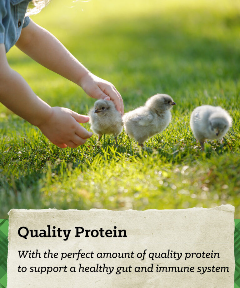 NatureWise Chick Starter-Grower Crumbles, 40-Lb