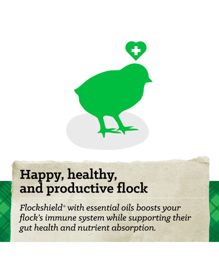 NatureWise Chick Starter-Grower Crumbles, 40-Lb