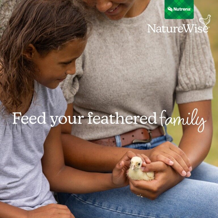 Nutrena NatureWise Chick Starter Grower 18% Protein Crumble Medicated, 40-Lb