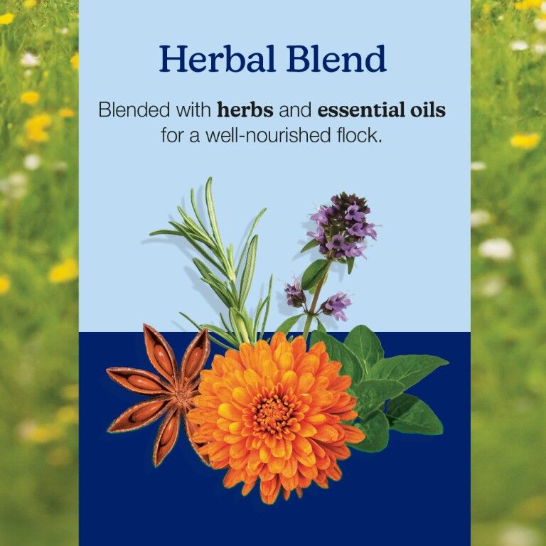 Nutrena NatureWise Chick Starter Grower 18% Protein Crumble Medicated, 7-Lb