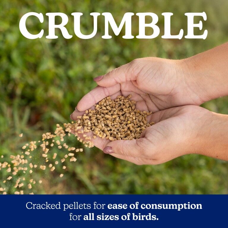 Nutrena NatureWise Meatbird Start To Finish 22% Protein Crumble, 40-Lb