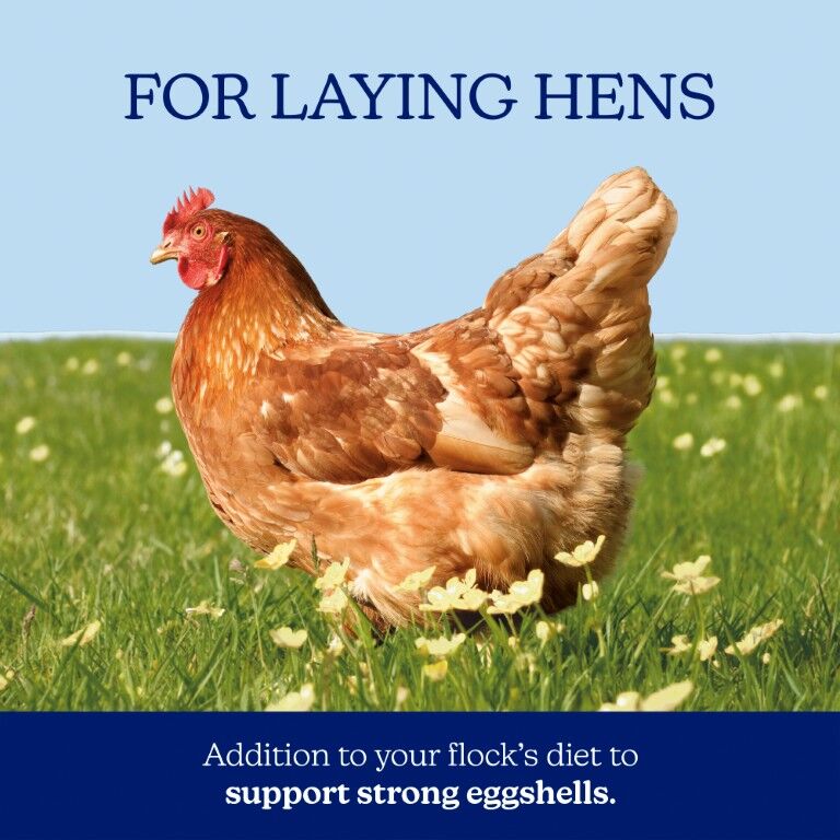 Nutrena NatureWise Oyster Shell, 7-Lb