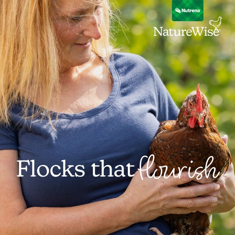 Nutrena NatureWise Poultry Grit, 7-Lb