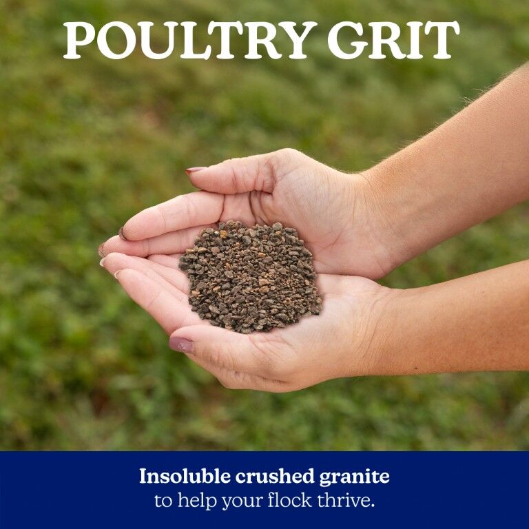 Nutrena NatureWise Poultry Grit, 7-Lb