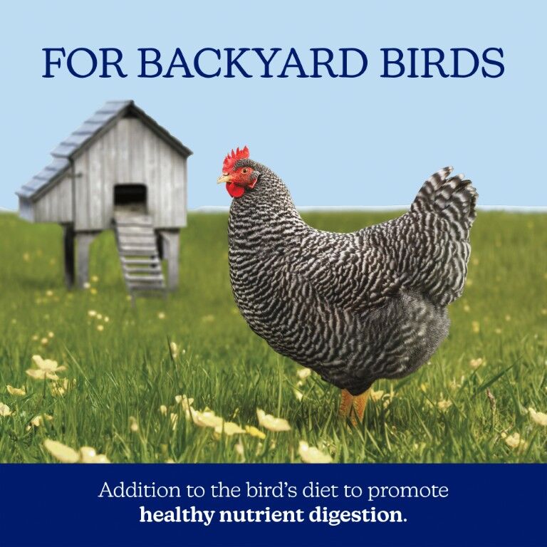 Nutrena NatureWise Poultry Grit, 7-Lb