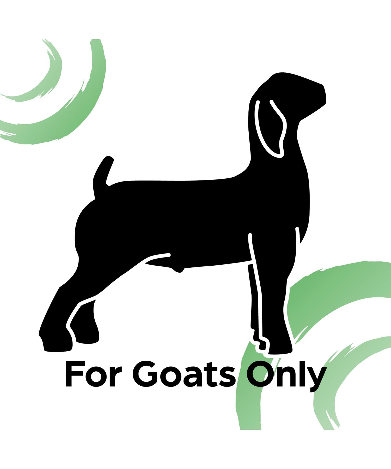 Sunglo Show Goat, 50-Lb