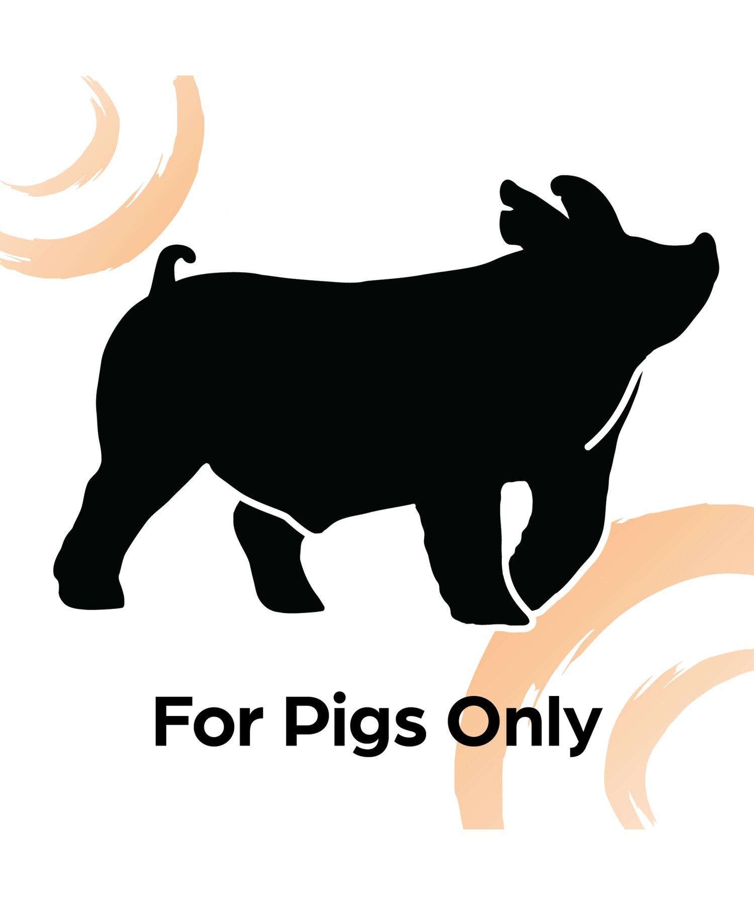 Sunglo Show Pig Complete, 50-Lb