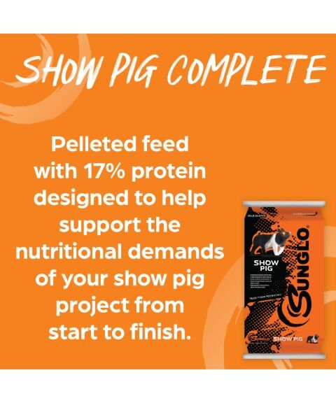 Sunglo Show Pig Complete, 50-Lb