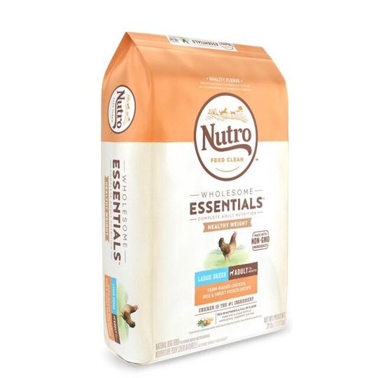 Nutro wholesome essentials large breed adult 2024 chicken & rice dry dog food