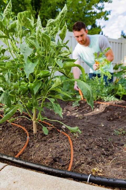 Orbit Drip Blank Distribution Tubing, 1/2-In x 500-Ft