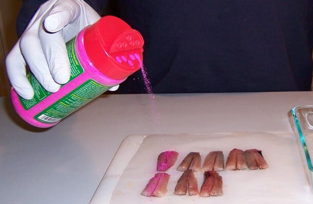 Pautzke Pink Fire Cure Bait Cure, 16 oz