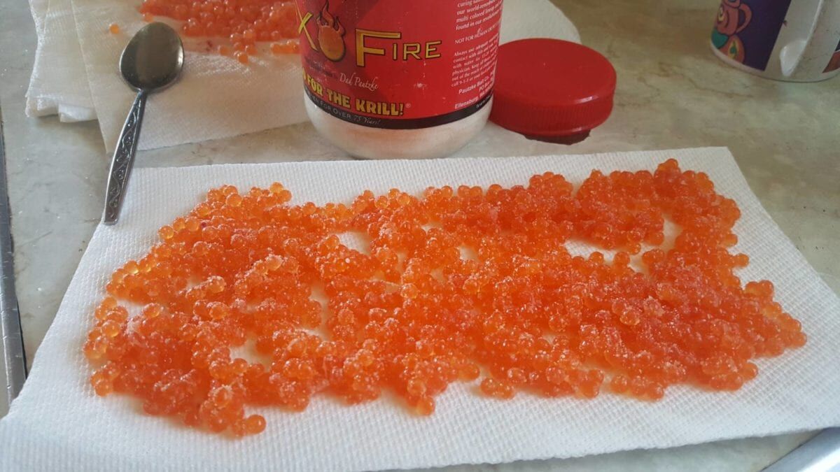 Pautzke Natural BorX O’ Fire Egg Cure, 28-Oz