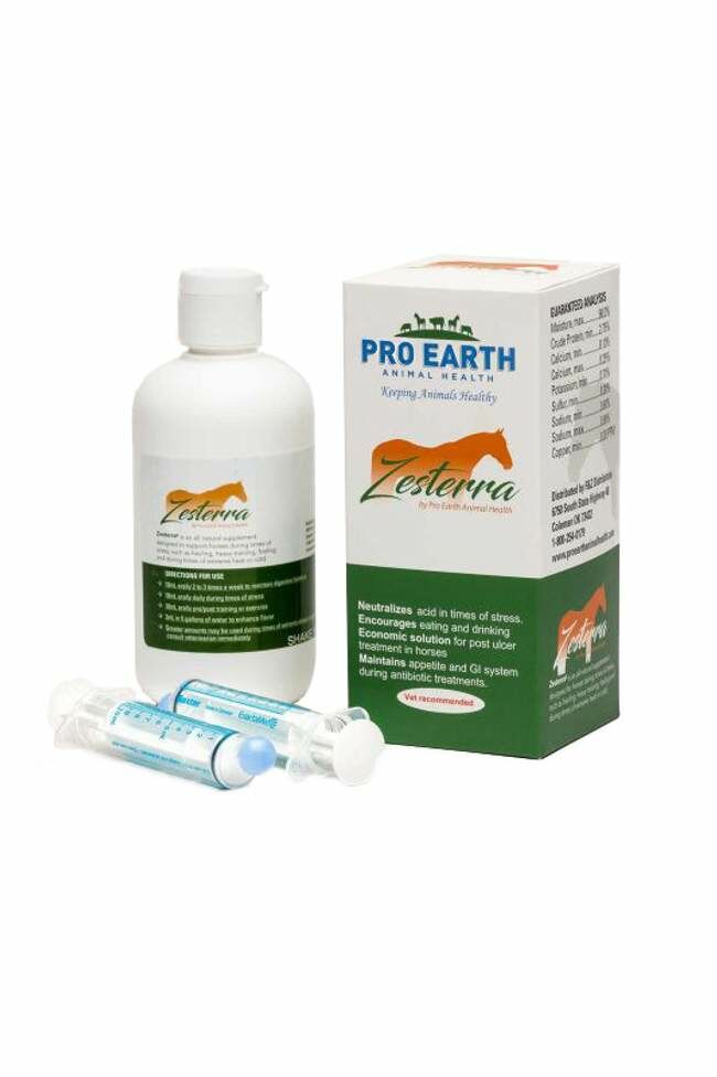 500Ml Zesterra, Clear