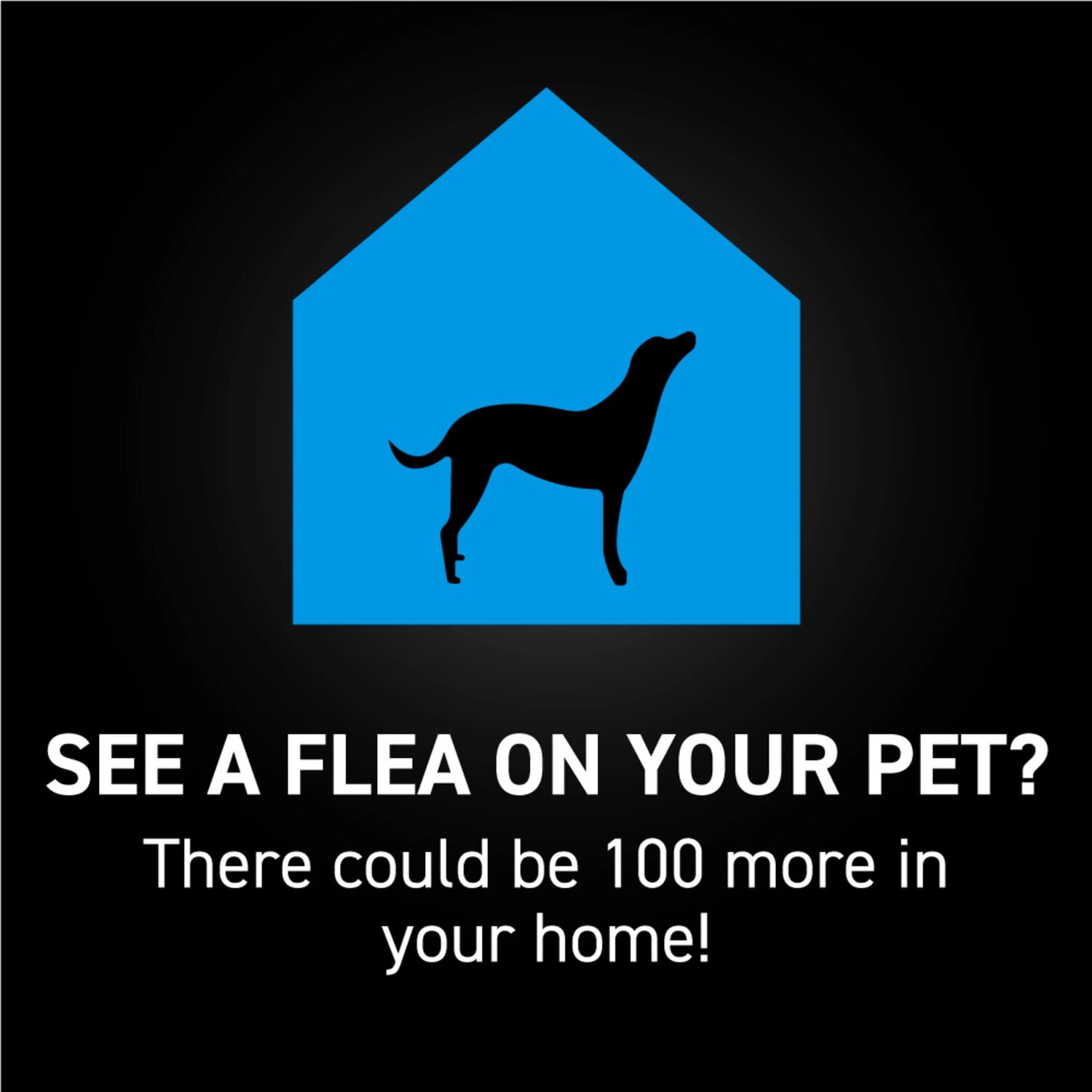 Capstar Nextstar Flea & Tick Topical for Small Dogs, 3-Months