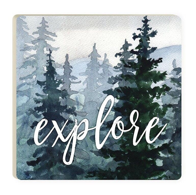 P. Graham Dunn Lake & Lodge Collection Explore Coaster