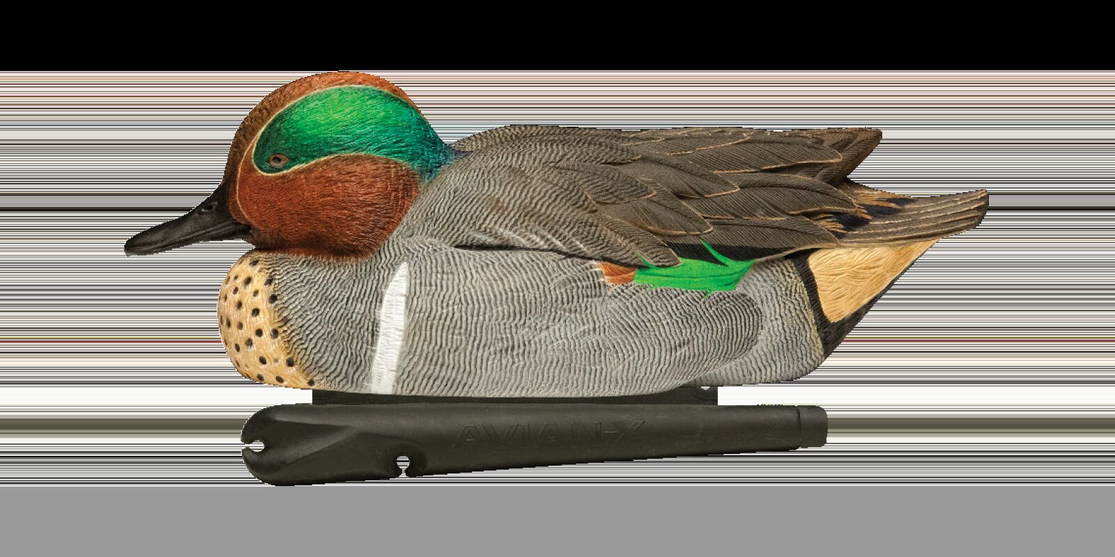 Avian-X Topflight Green-Winged Teal Decoys, 6-Pk
