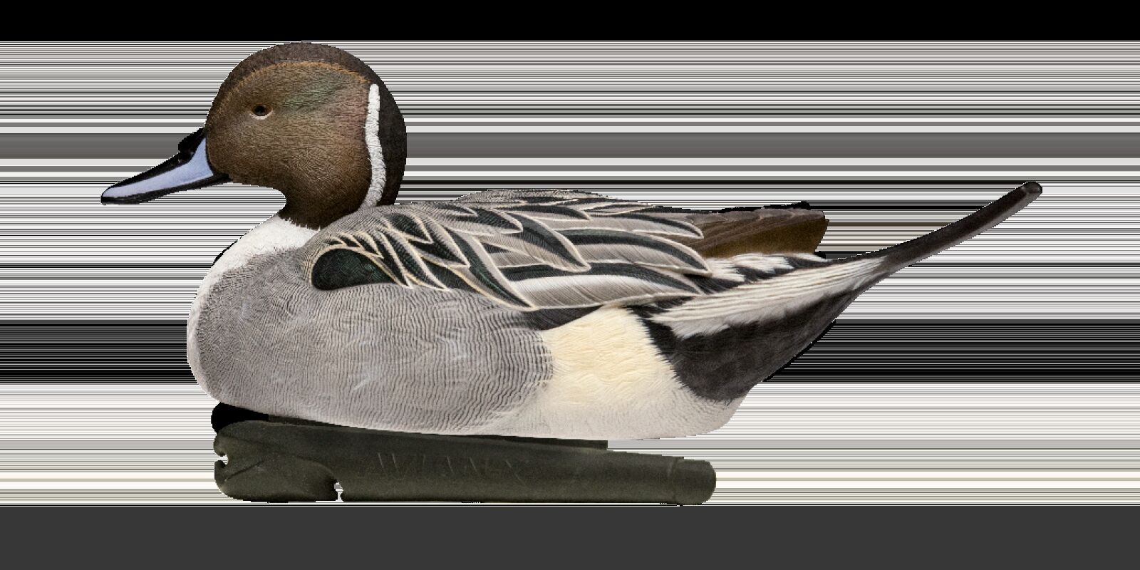 Avian-X Topflight Pintails Decoys