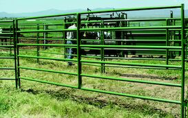 Powder River 14-Ft x 64-In 14-Ga 1600 Series Tube Panel