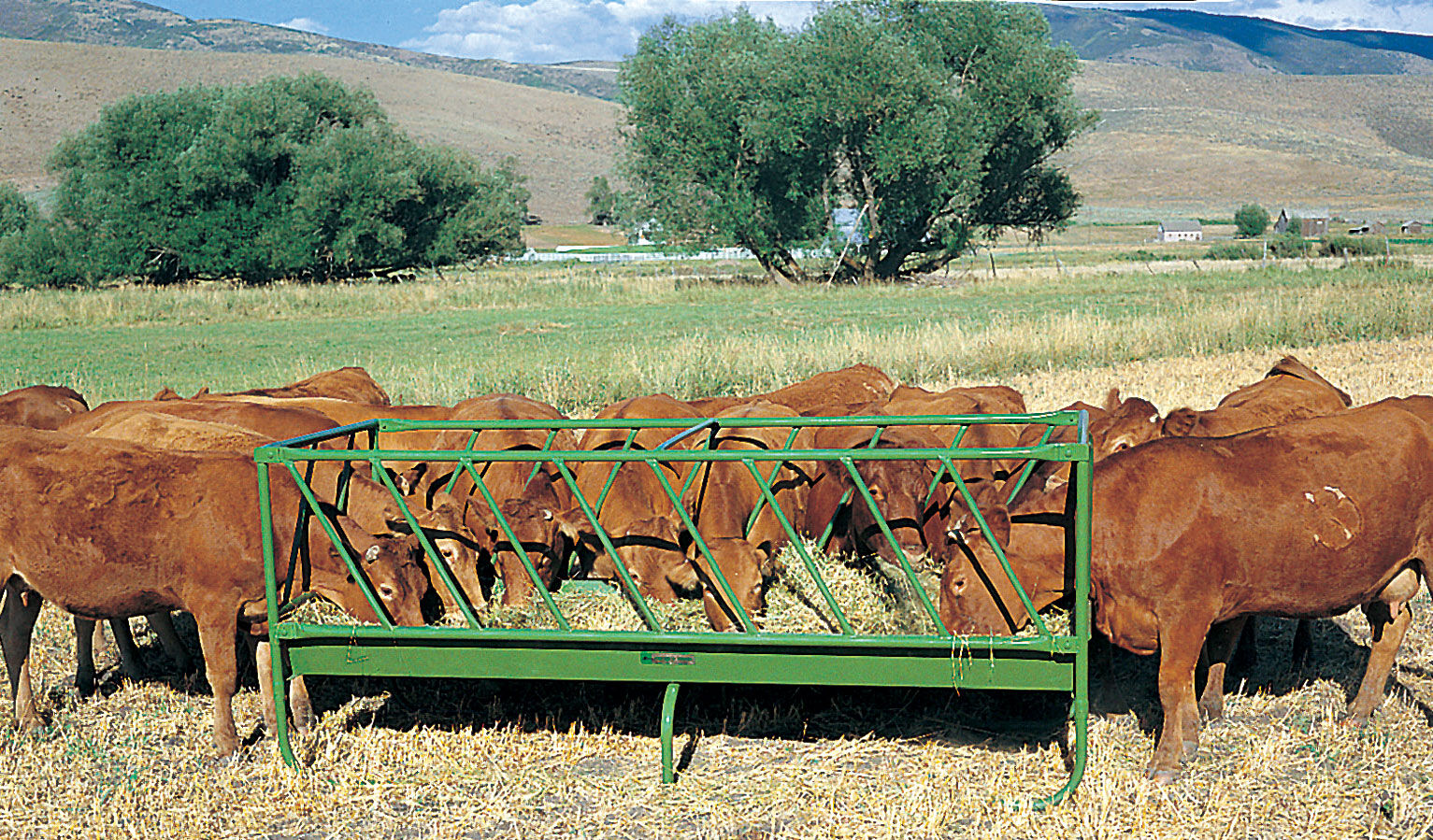 Slant Bar Rack Feeder